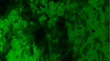 ebfenet_abstract-wallpaper.png SwapRGBGreen