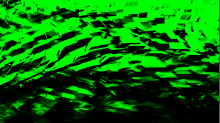 ebfenet_cellular.png SwapRGBGreen