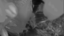 ebfenet_detail.png Grayscale