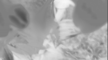 ebfenet_detail.png GrayscaleInvert