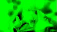 ebfenet_unref.png InvertGBRGreen